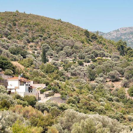Villa Vicky 피타고레이오 외부 사진
